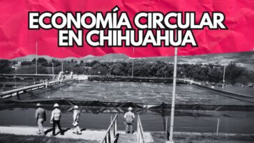 Chihuahua Green: liderando la sostenibilidad y la economía circular en México
