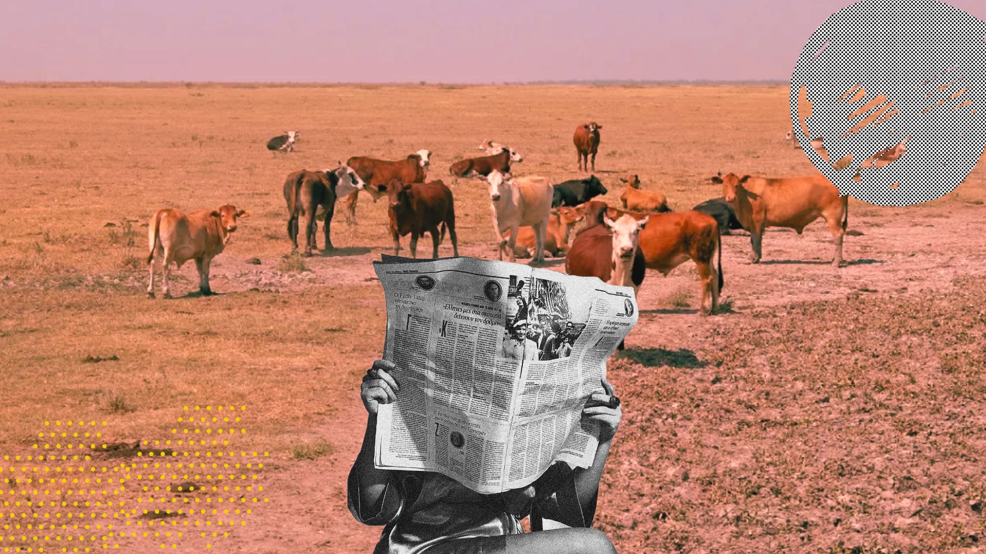 Crisis ganadera: Chihuahua y México en riesgo por falta de acción federal