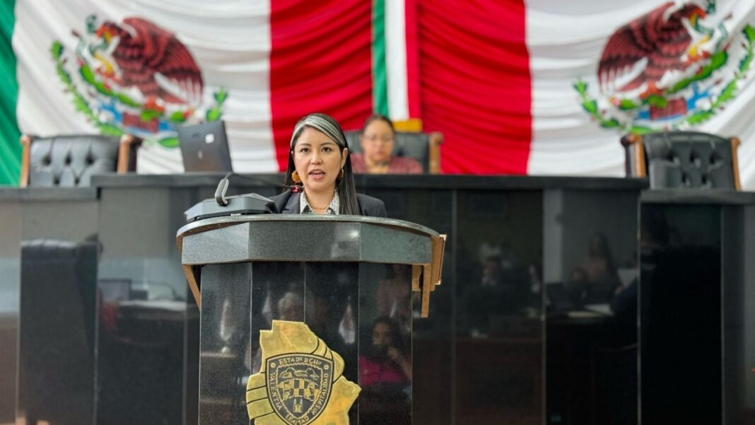 Nancy Frías propone reformas para fortalecer protocolos contra violencia familiar y eliminar contenidos que promuevan el crimen en las escuelas de Chihuahua.