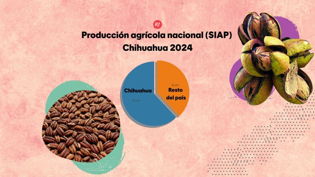 Gráfica de pastel que muestra el liderazgo de Chihuahua en la producción de nuez pecana, con el 62% de la cosecha nacional y un valor de 7.8 mil millones de pesos
