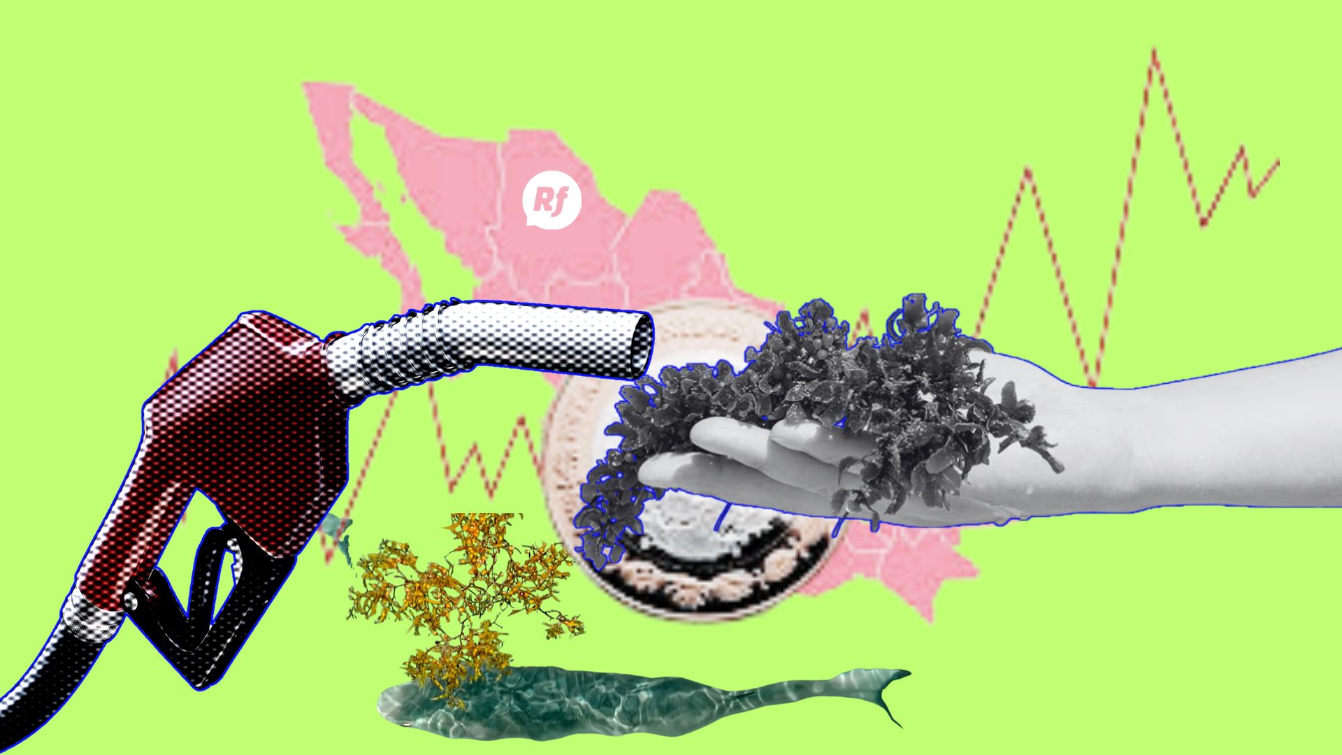 Ladrillos y biocombustible de sargazo como alternativa sustentable en México Bloques y combustibles hechos de sargazo: una alternativa sustentable que transforma un problema ambiental en energía renovable y construcción ecológica.