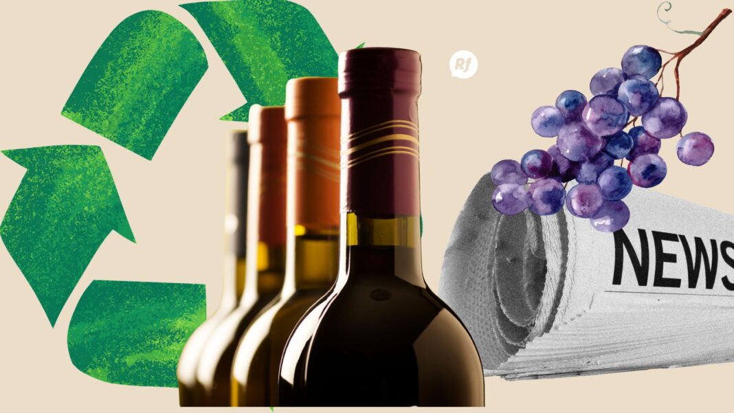 La sustentabilidad marca el rumbo del sector vitivinícola