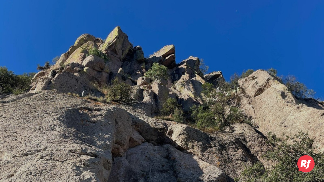 Del concreto al verde: por qué proyectos como Parque Barrancas definen a las ciudades competitivas