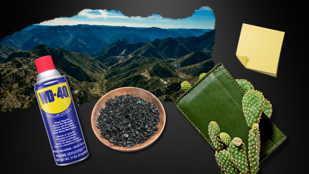 Encuentra oportunidades donde nadie las ve