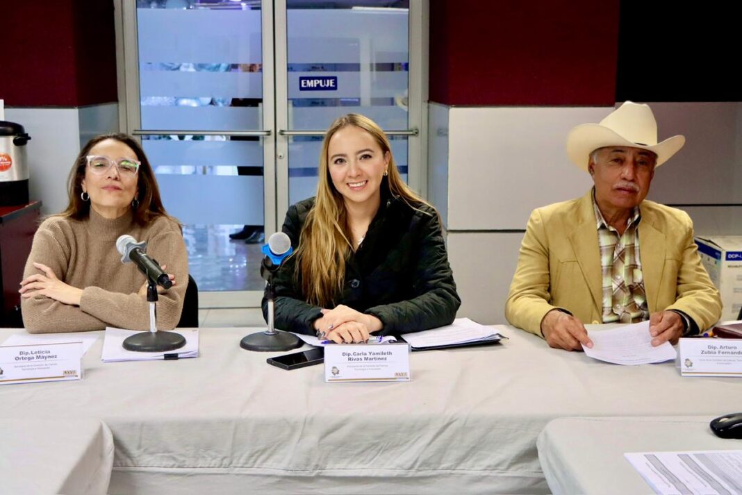 Diputada Carla Rivas impulsa desde la Comisión de Ciencia la creación del Consejo Estatal de Inteligencia Artificial para fortalecer la regulación y ética de la IA en Chihuahua.