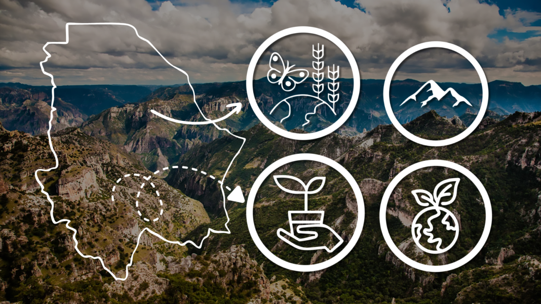 Vista de cerros y áreas naturales de Chihuahua con participación de colectivos ambientales y autoridades que trabajan en conservación, reforestación y educación ecológica.