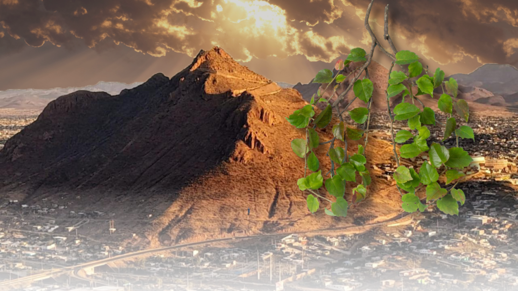 Vista de los cerros que rodean la ciudad de Chihuahua, considerados infraestructura natural por su valor ambiental, cultural y su papel en la planeación urbana sostenible.