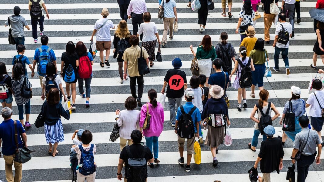 Gráfica que muestra los sectores donde trabajan chihuahuenses en otros estados del país durante el IVT 2025, destacando el sector primario, manufactura y transportes como los principales.