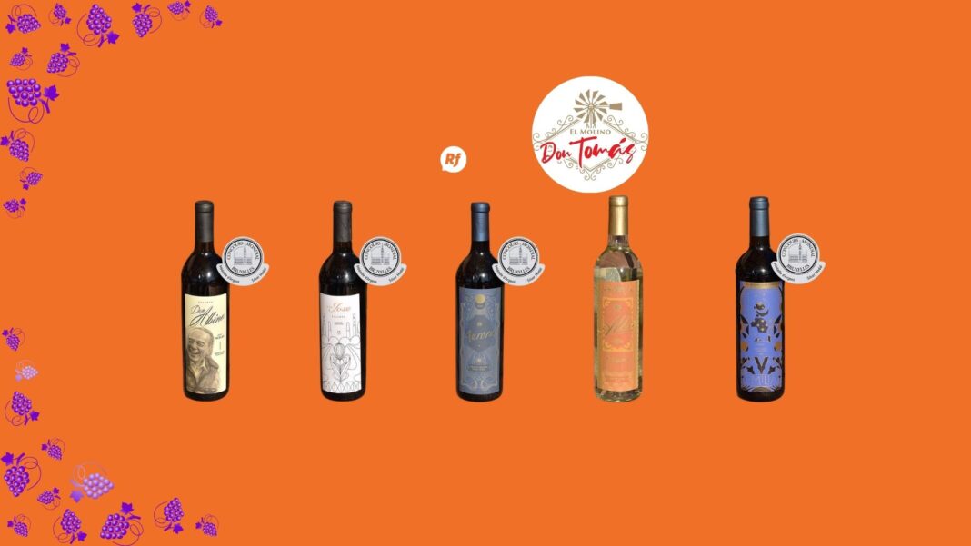 Viñedos de Molino Don Tomás en Santa Isabel, Chihuahua, rodeados de montañas a 1,650 metros sobre el nivel del mar.