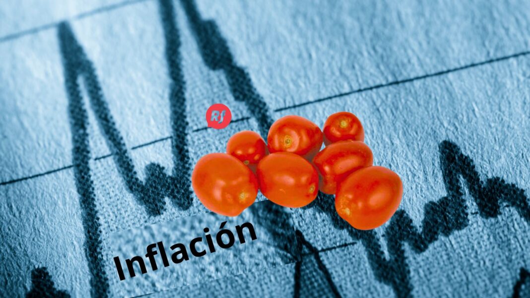 El ABC del jitomate: por qué está caro y cómo impacta tu bolsillo