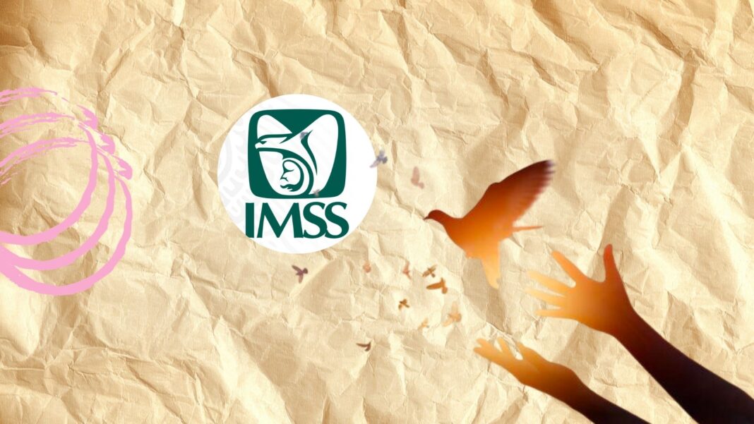 Relevo en la delegación del IMSS en Chihuahua con la llegada de Julio Mercado en medio de crisis en servicios de salud