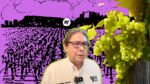Productor de vino en viñedo del norte de México mostrando uvas en cultivo en crecimiento
