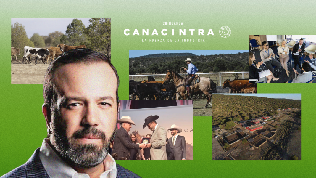 El arquetipo en un ecosistema de negocio