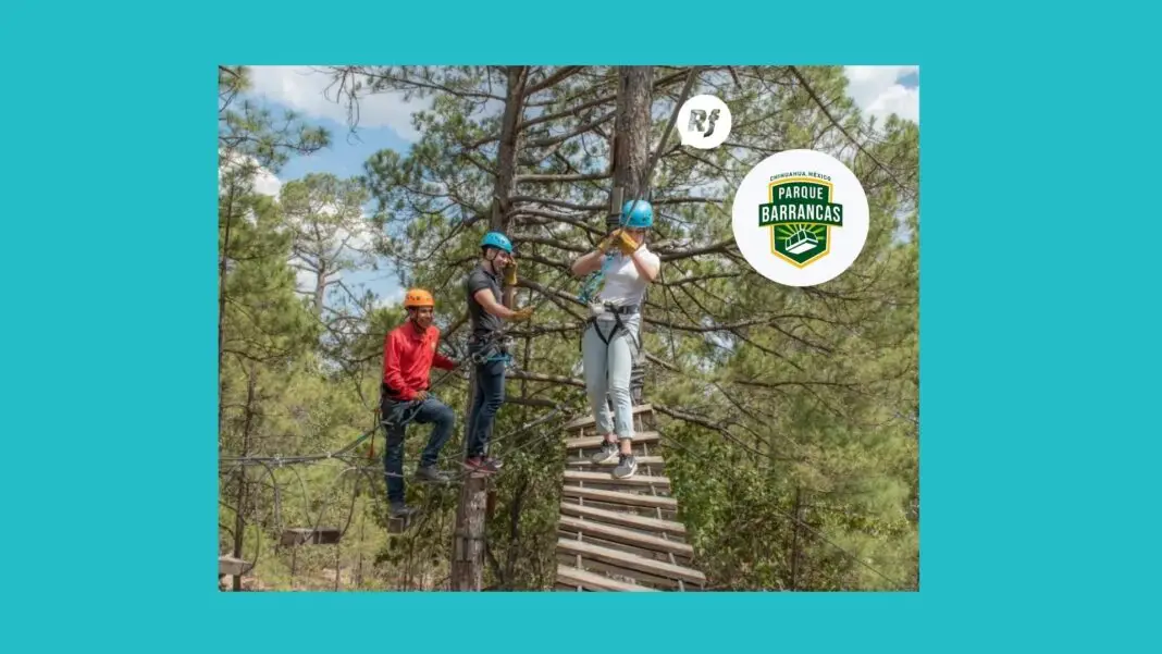 Visitante cruzando uno de los puentes colgantes del Bosque Aéreo en Parque Barrancas rodeado de árboles y paisajes de la Sierra Tarahumara.