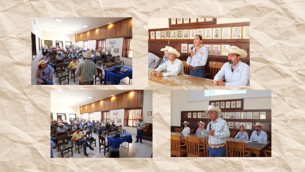 Alerta en Chihuahua por peligrosa plaga que amenaza ganado El diputado Arturo Zubía participa en una plática de prevención del gusano barrenador del ganado junto a productores pecuarios en la Asociación Ganadera Local de Camargo.
