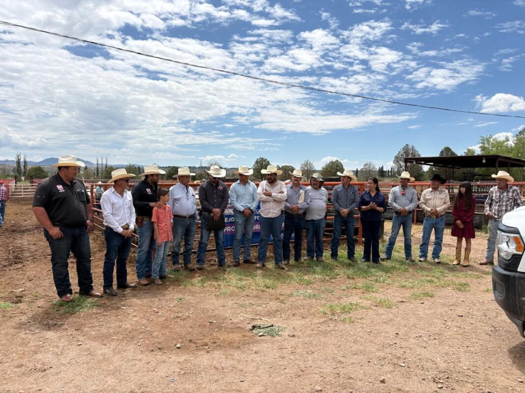 Productores ganaderos del municipio de Guerrero reciben sementales como parte del programa Cuenta Conmigo en el Campo para fortalecer la productividad del sector agropecuario.