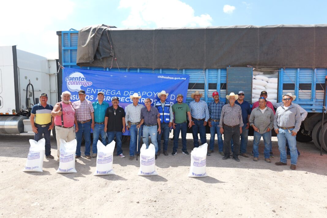 Entrega de fertilizante subsidiado a productores agrícolas de Camargo
