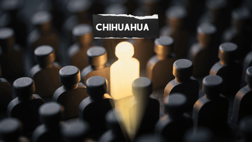 El próximo gran activo de Chihuahua no está en un parque industrial Zona industrial de Chihuahua como símbolo del crecimiento del ecosistema empresarial