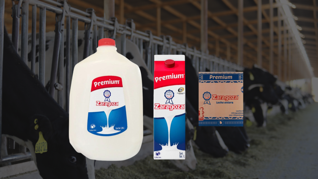 Chihuahua produce la leche; otros construyeron las marcas Ganado lechero en Chihuahua como parte de la cadena de producción agroalimentaria del estado.