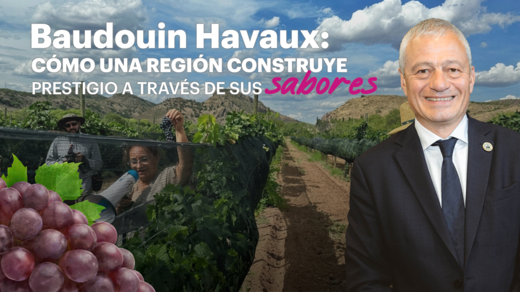 Cómo una región construye prestigio a través de sus sabores Vinos sotoles y cervezas artesanales de Chihuahua ganadores en México Selection 2025