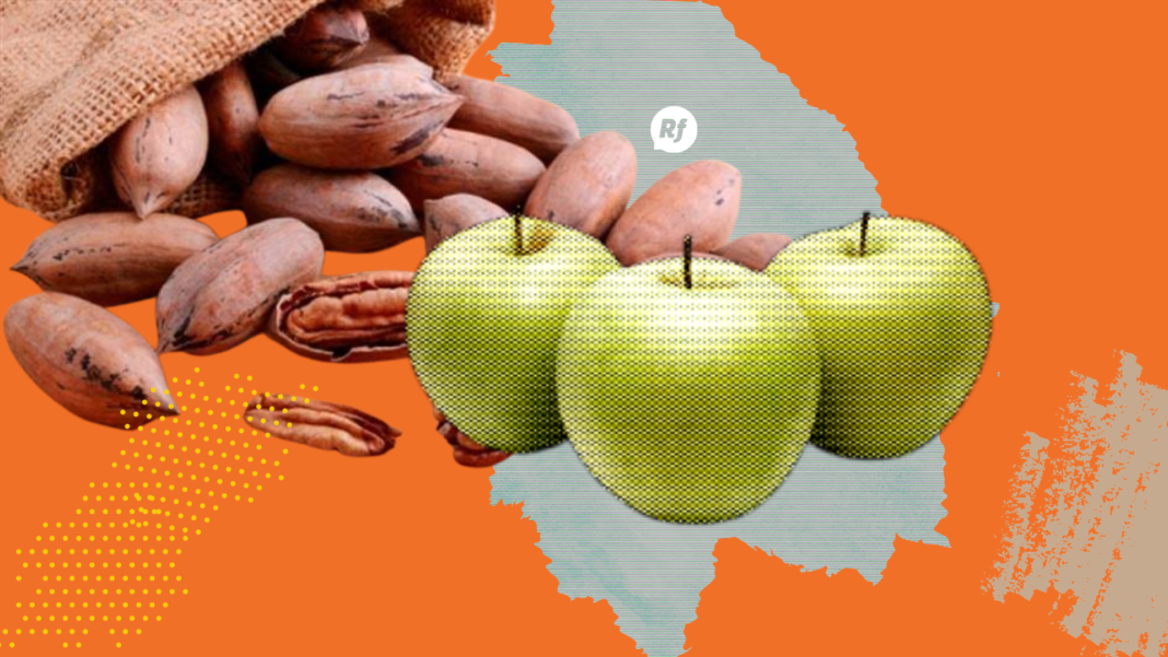 Manzana y nuez impulsan la recuperación agrícola chihuahuense Producción agrícola de manzana y otros cultivos en Chihuahua durante 2026