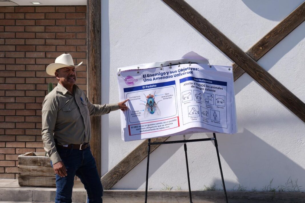 Productores lecheros reciben kits preventivos contra el gusano barrenador en Camargo.