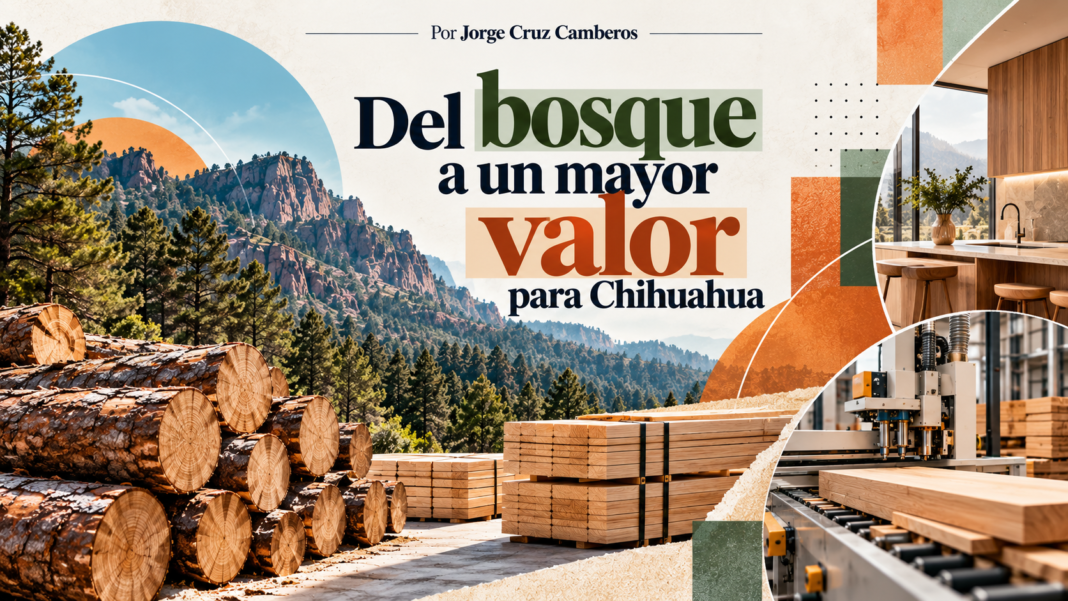 Bosque de Chihuahua, madera procesada y manufactura de productos de madera representados en una composición editorial sobre el potencial de la industria forestal del estado.