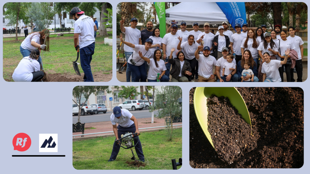 100 árboles, una ciudad que respira: CIMA lleva su compromiso ambiental al Parque Lerdo CIMA planta 100 árboles en Parque Lerdo